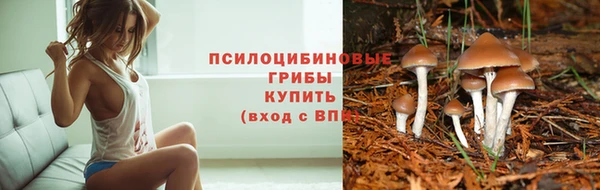 бутират Елизово