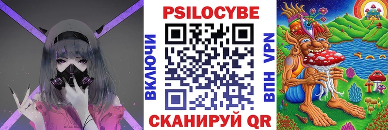 Галлюциногенные грибы Psilocybe  Похвистнево 