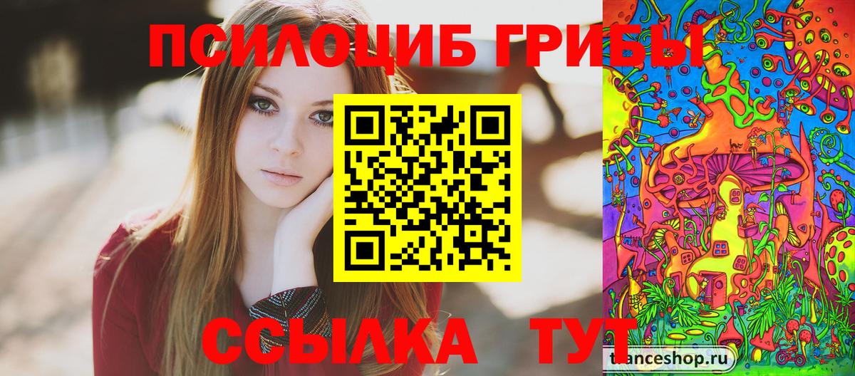 Галлюциногенные грибы GOLDEN TEACHER  Вход с VPN  Галлюциногенные грибы прущие грибы  Похвистнево 