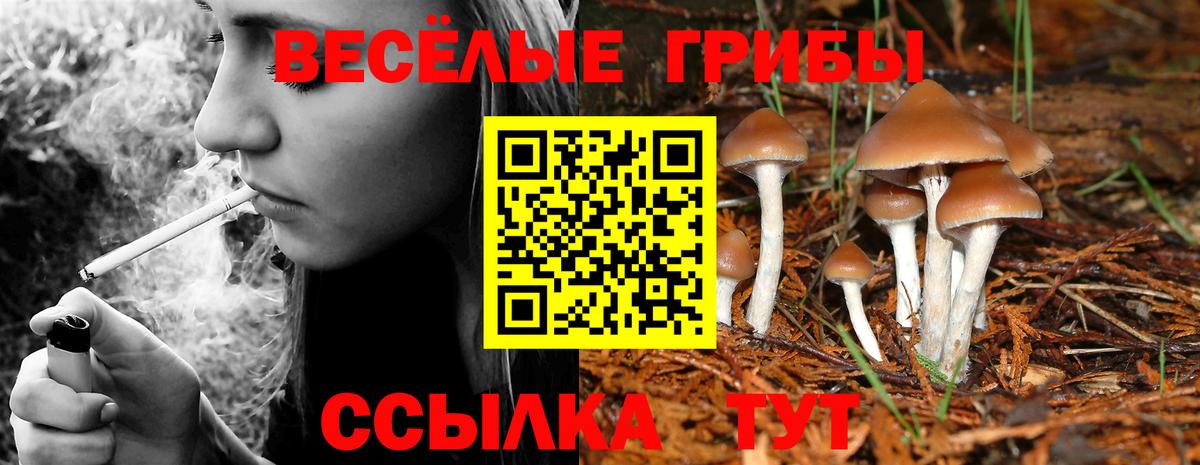 Псилоцибиновые грибы мухоморы Похвистнево